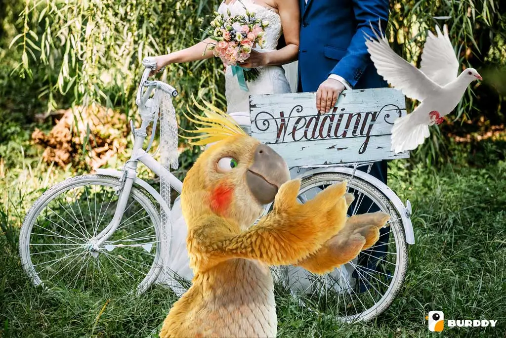 Comment aménager un coin photo de mariage original avec Burddy ?